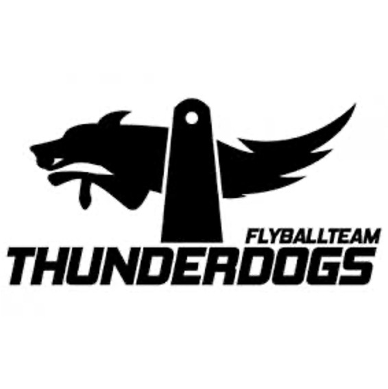 Flyball